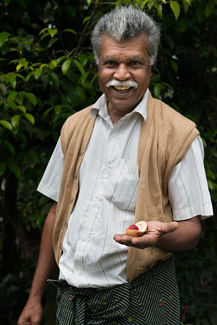 Kumily, Abraham's Garden, mace, nutmeg, Faces Places and Plates Blog, India, South India, Heritage, Tamil Nadu, Food Travel, Food Tourism, Indian Food, Culinary Tours, Karen Anderson, Pauli-Ann Carriere