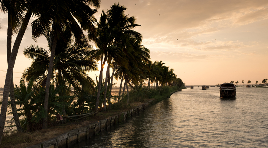 Faces Places and Plates Blog, India, Alappuzha, South India, Kerala, Alleppey, house boats, sunset, coconut trees, Tamil Nadu, Food Travel, Food Tourism, Indian Food, Culinary Tours, Fish, Fried Fish, Curry Leaves, Backwaters, Home Stay, masala, Karen Anderson, Pauli-Ann Carriere