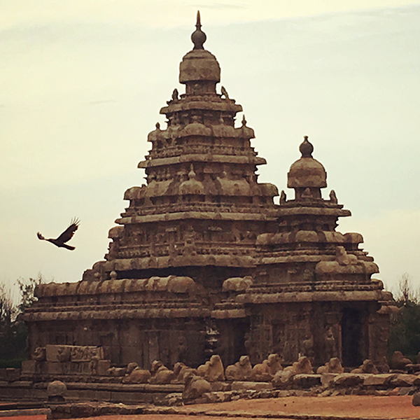 Shore Temple, UNESCO World Heritage Site, Bay of Bengal, Mamallapuram, Mahabalipuram, Tamil Nadu, South India, India, Faces Places and Plates Blog, Heritage, Tamil Nadu, Food Travel, Food Tourism, Indian Food, Culinary Tours, Karen Anderson, Pauli-Ann Carriere