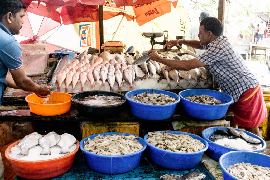 fish, market, Kochi, Kerala, South India, India, Faces Places and Plates blog