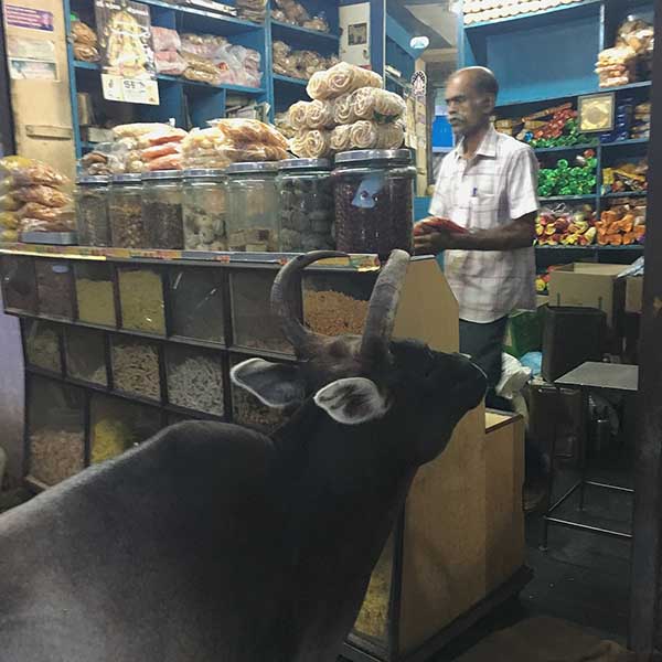 Indian market, Karaikudi, Tamil Nadu, South India, India, Faces Places and Plates blog