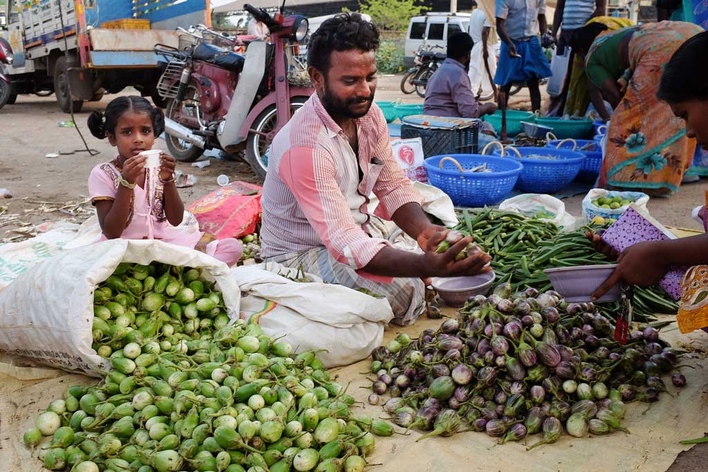 A man selling vegetables sits on a tarp amongst his large piles of eggplant. He passes a customer a handful of purple eggplant while a young girl in a pink dress and pig tales drinks from a small white cup and looks at the camera.