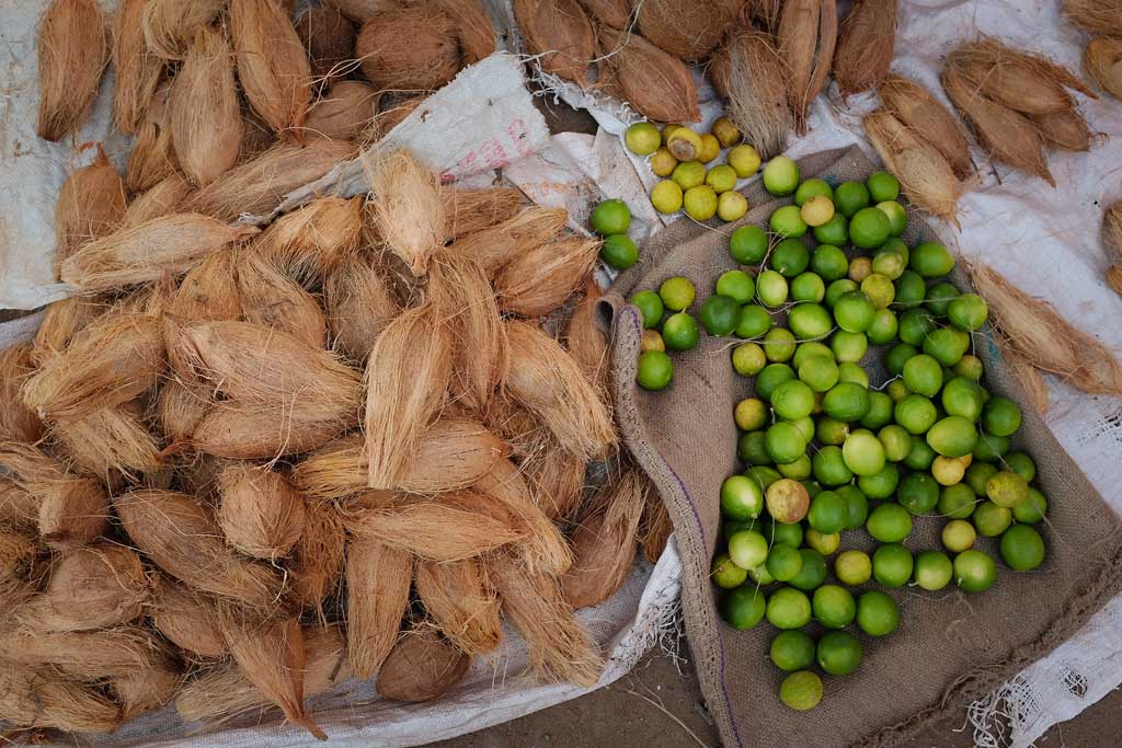 Slender whole coconut in husk sit alongside green and yellow limes on burlap. The burlap beneath the limes coordinates with the husks of the coconuts.