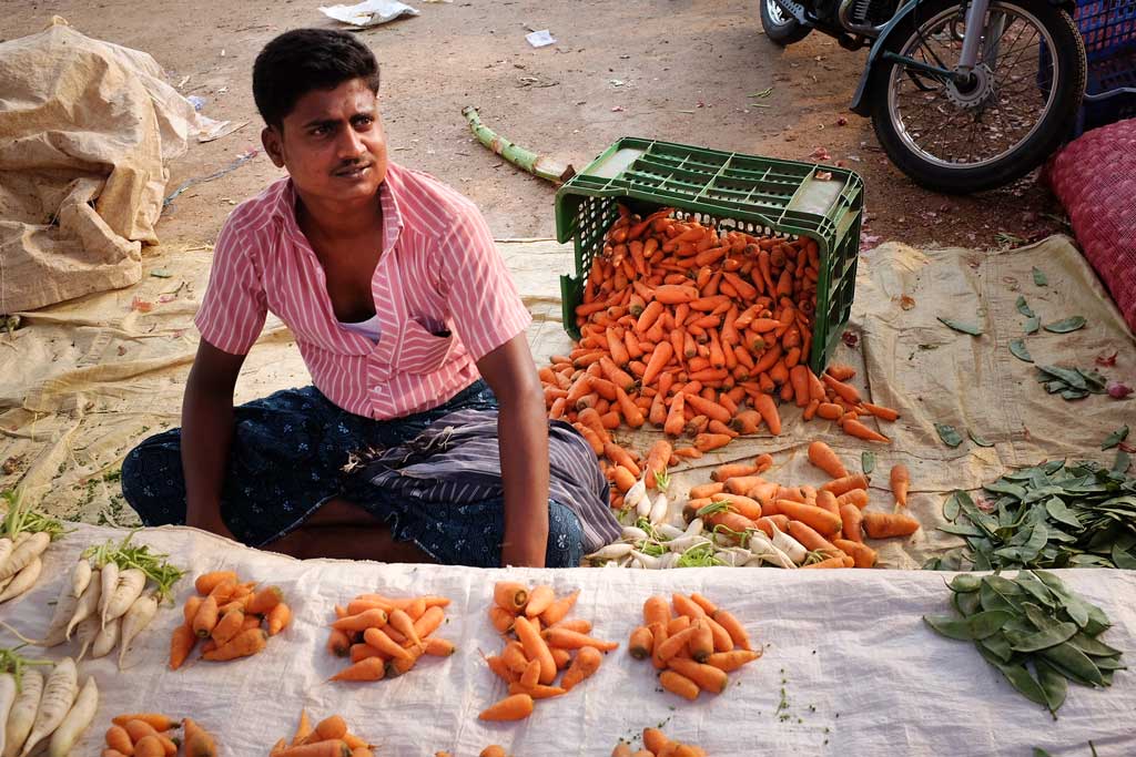 An Indian man wearing a pink and white striped button up shirt sits on the ground in front of his neatly composed groups of carrots and green beans in a vegetable market outside of Madurai.