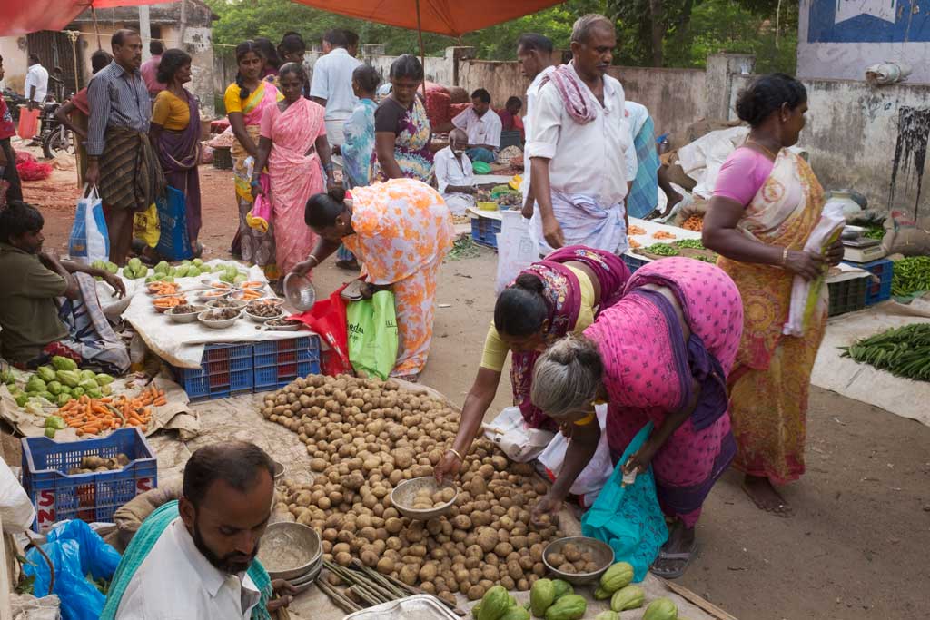 Two South Indian women wearing colourful saris, one pink, the other mauve and yellow, bend low over a large mound of russet potatoes, placing their selections in round silver bowls. Many people in the vegetable market walk around them and do their own shopping.