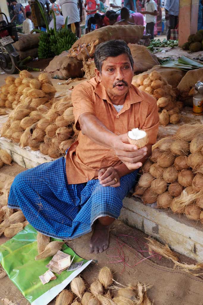 A South Indian coconut seller wearing a long denim-blue dhoti and ochre coloured button up shirt, sits on the ground amongst his piles of young unhusked coconut, and extends his hand out to offer a half cut coconut in a gesture of friendship.