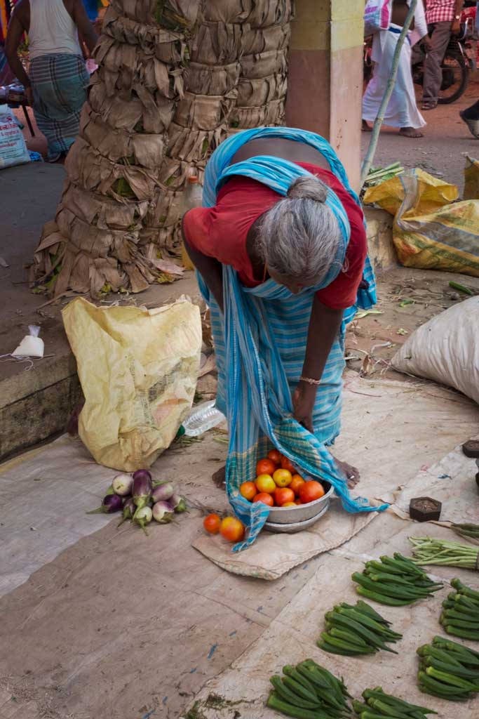 An elderly South Indian woman wearing a turquoise blue sari and a perfectly coiffed bun at the back of her head leans over to inspect the small bowl of ripe red tomatoes at her feet, as the fabric of her dress gently embraces the rim of the steel bowl.