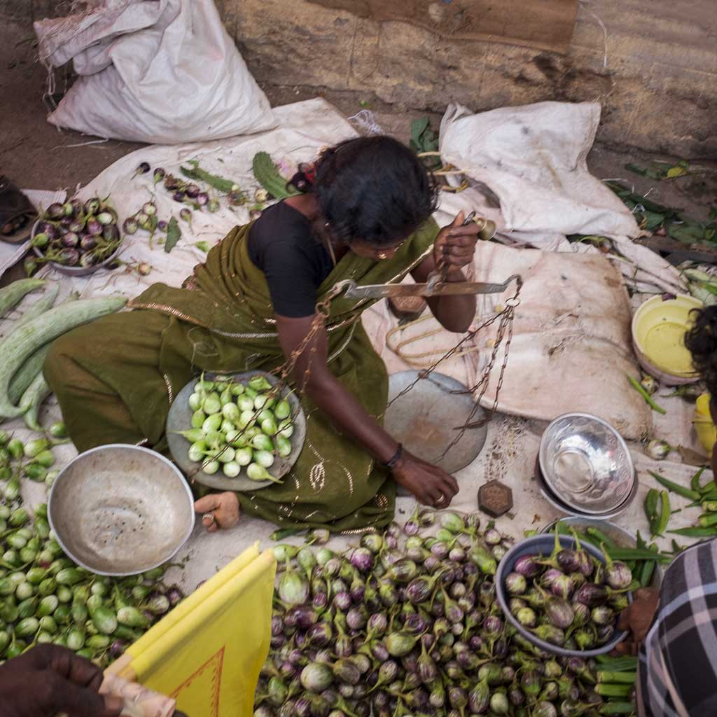 A South Indian woman wearing an olive green sari and black top holds a