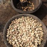 Creamy raw cashews, slightly charred, sit in an rough stone carved bowl, which sits on the dirt ground.