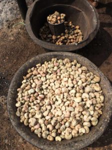 Creamy raw cashews, slightly charred, sit in an rough stone carved bowl, which sits on the dirt ground.