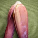 Banana flower