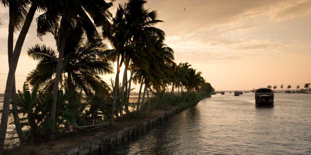 The Keralan Backwaters at dusk.