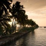 The Keralan Backwaters at dusk.