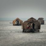 Houseboats on the Kerala Backwaters.