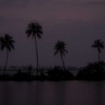 Dusk, Kerala Backwater.