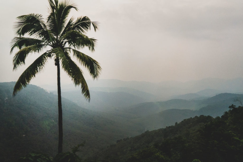 Periyar region, South India.