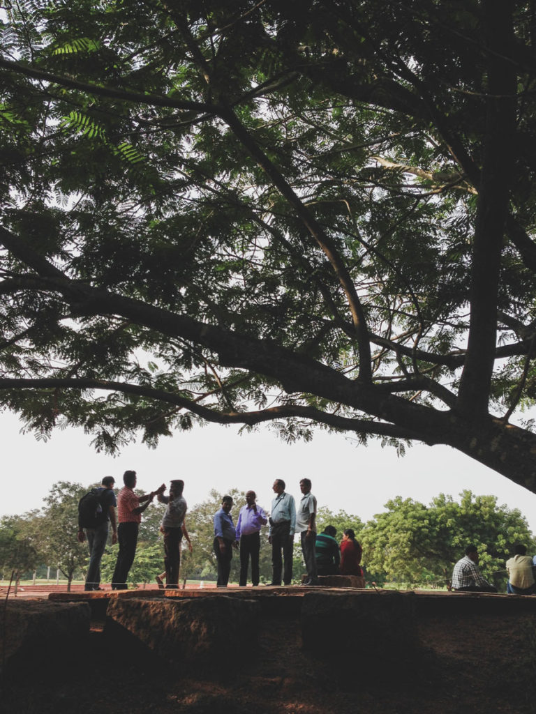 A crowd gathers under the shade of trees to observe the Matrimandir in Auroville.