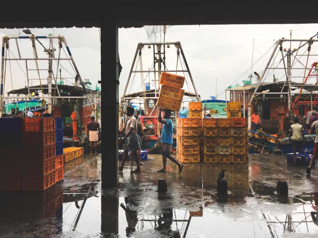 Fish-Market-Kozhikode Man-Carting-Crates