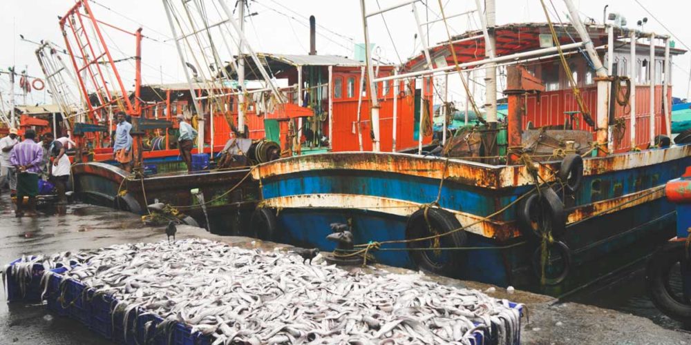 Kozhikode-Fish-Market