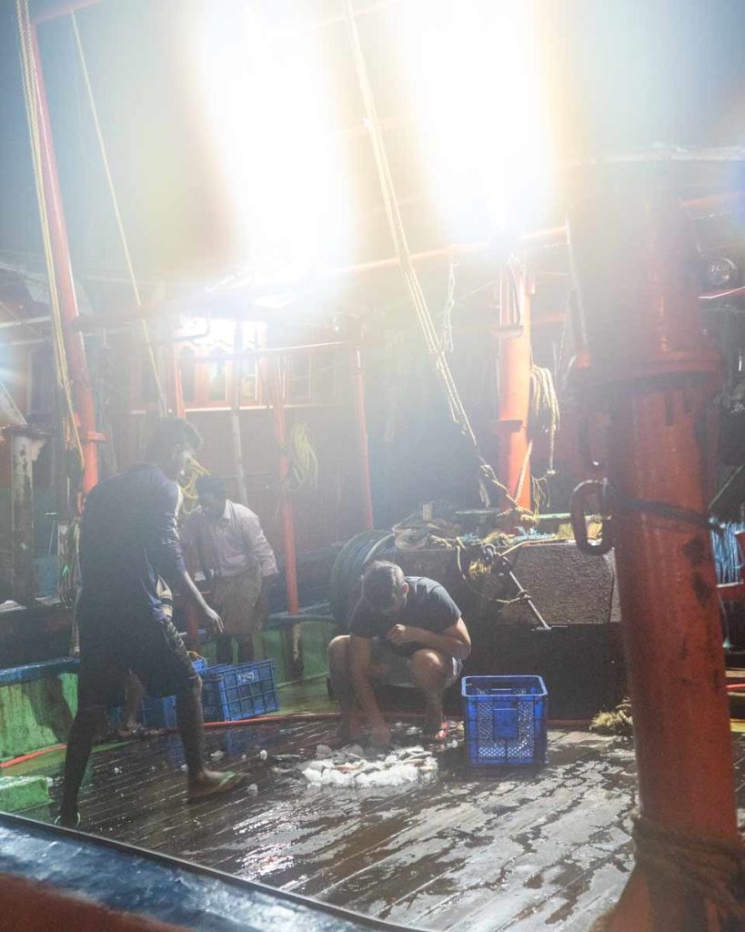 Early-morning-fish-auction-Kozhikode