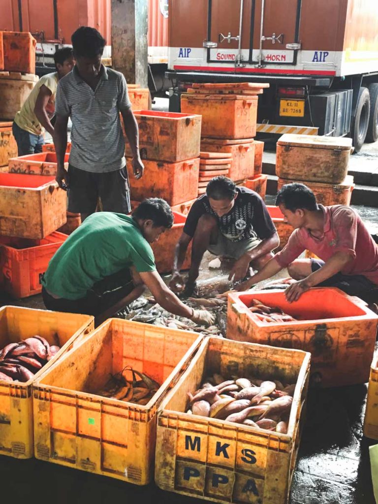 Kozhikode-Fish-Auction_Sorting-Fish