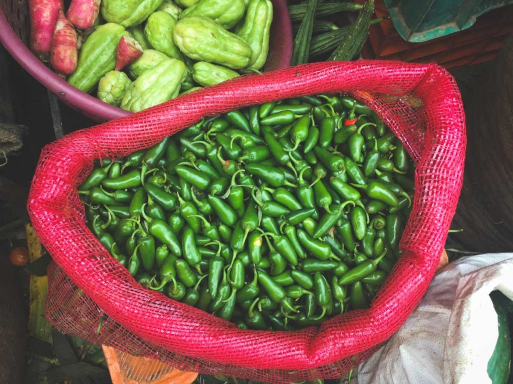 Green Chillies sit in a large red sack inn Kozhikode - Calicut