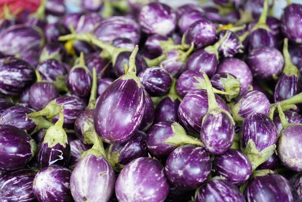 purple eggplants